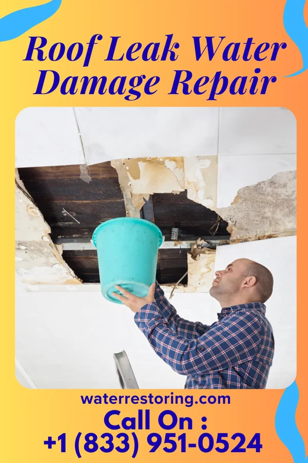 Roof Leak Water Damage Repair in Estacada, OR